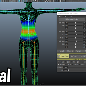 "DmSkinningSupport_Trial" for MAYA