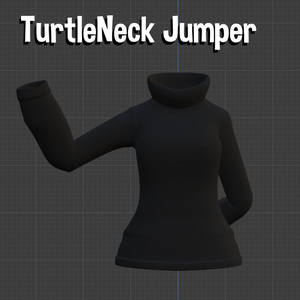 TurtleNeck Jumper