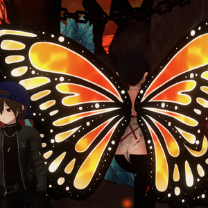 Butterfly wing