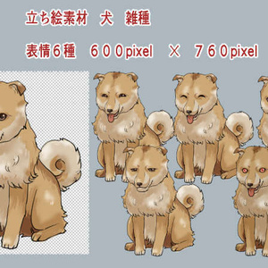 立ち絵　犬　動物　素材
