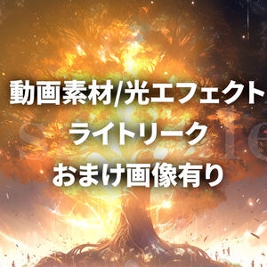 【動画素材】ライトリーク５種類セット※おまけ有り
