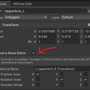 SymmetryBoneEditor