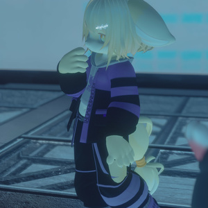 【VRChat想定3Dモデル】ストリートウェア「Strelitzia」 缩略图 7