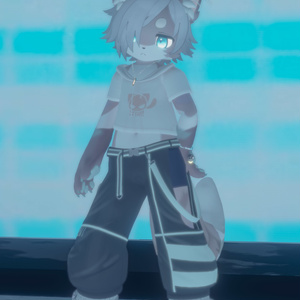 【VRChat想定3Dモデル】ストリートウェア「Strelitzia」 缩略图 21