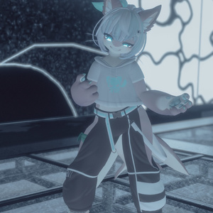 【VRChat想定3Dモデル】ストリートウェア「Strelitzia」 缩略图 13