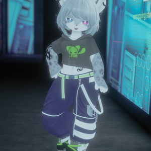 【VRChat想定3Dモデル】ストリートウェア「Strelitzia」 缩略图 16