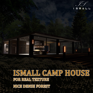 ISMALL MODERN CAMP HOUSE