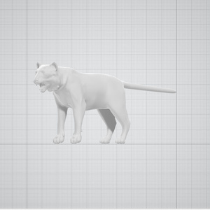 3dモデル　猫
