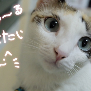 ♡無料♡ポーズアニメーション6種類「双子」 缩略图 6