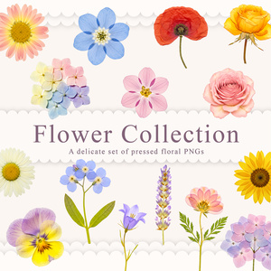 【著作権 / 商用フリー】　押し花の透過PNG画像 15点セット