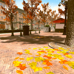 walking on fallen leaves