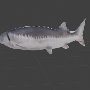 spining sakana FBX