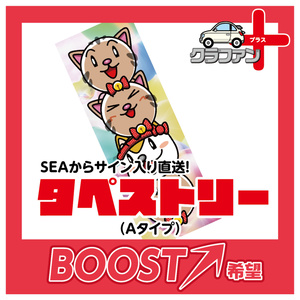 【直販】タペストリー（Aタイプ）超絶BOOST希望