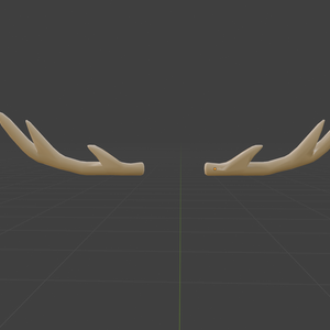 Deer Antlers
