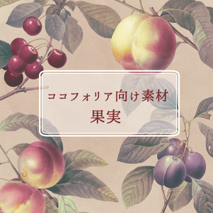 【無料有】果実素材