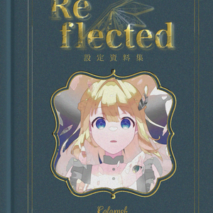 Reflected 設定資料集【PDFダウンロード版】