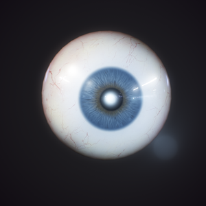 Human Realistic EyeBall