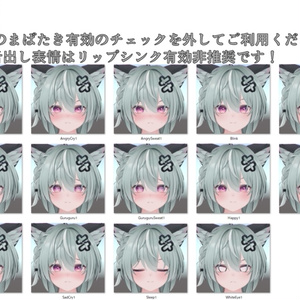 SALE!【キリサメ/Kirisame専用】動く！キリサメくん表情セット 缩略图 9