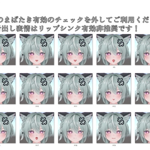 SALE!【キリサメ/Kirisame専用】動く！えっちな♡キリサメくん表情セット 缩略图 11