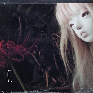 Dollhouse Noah 人形フォトカード