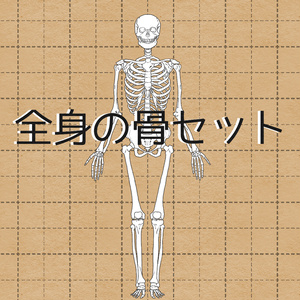 全身セット売り　透過なしver．