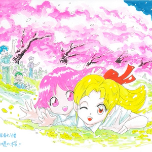 水彩画　「京・岩清水八幡・背割り堤の桜」　H072