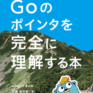 Goのポインタを完全に理解する本