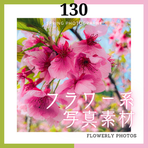 花系写真素材集 ~Vol.2~ 130枚セット