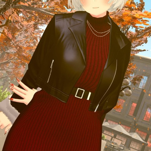 『 ADA 』WINTER DATE STYLE 　SELECT SHOP-Cornet-　#エイダ   #セレコル 缩略图 50