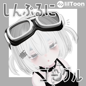 しんぷるにゴーグル🥽