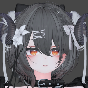 Airi Blendshape