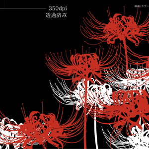 夏の夕暮れ ノスタルジーな和風曲 Original Bgm Booth