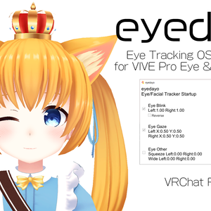 【非推奨】VRChat用アイトラOSC送信ツール eyedayo