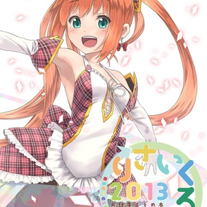 りさいくるんと2013