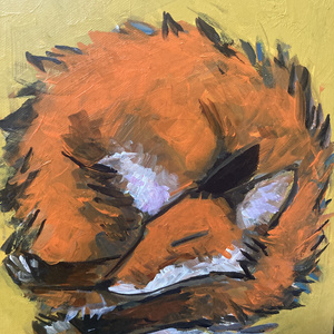 【赤青黄色fox】
