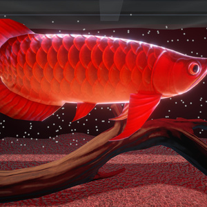 【こだわりのアロワナ水槽】Arowana Aquarium Set (Unity URP) – Animated Fish