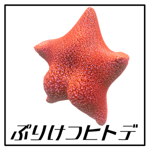 【VRChat】ぷりけつヒトデ【オリジナル3Dモデル】