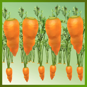 ニンジンブラシ nino (Carrot brush nino) [ClipstudioPAINT Ver.1 OK]