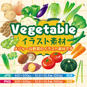 vegetableイラスト素材【JPG・PNG】メジャー野菜のイラスト