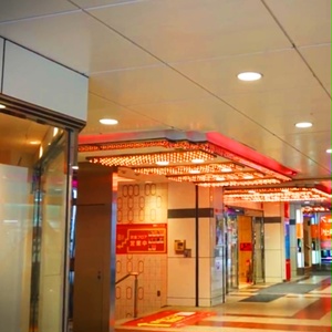 【単品/セット】GINZA_Flash[1080p版]【VJ素材】