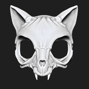 MASK CAT SKELETON 3D  