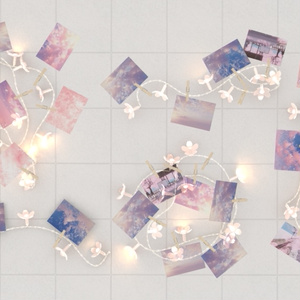 Photo Clip ×30 缩略图 11