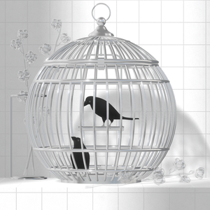 Bird Cage ×10