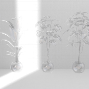 Plant×20 缩略图 8