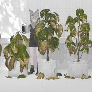 Plant×20 缩略图 11
