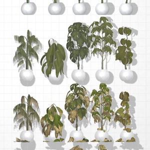 Plant×20 缩略图 2