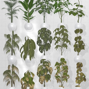 Plant×20 缩略图 13