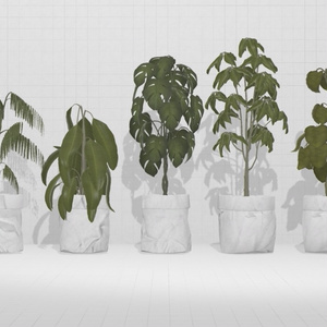 Plant×20 缩略图 9