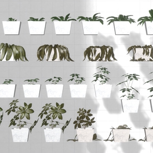 Plant Cycle ×96 缩略图 5