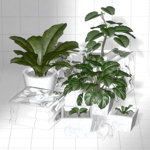 Plant Cycle ×96